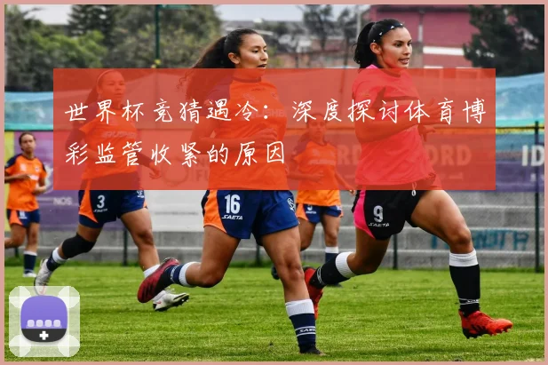 世界杯竞猜遇冷：深度探讨体育博彩监管收紧的原因