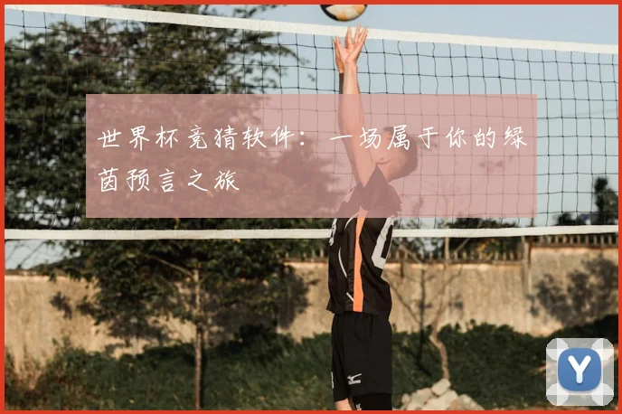 世界杯竞猜软件：一场属于你的绿茵预言之旅