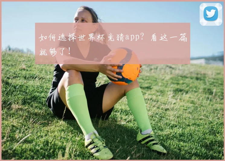 如何选择世界杯竞猜app?看这一篇就够了!