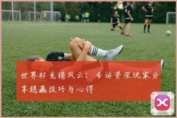 世界杯竞猜风云：专访资深玩家分享稳赢技巧与心得