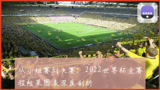 从小组赛到决赛:2022世界杯全赛程结果图表深度剖析