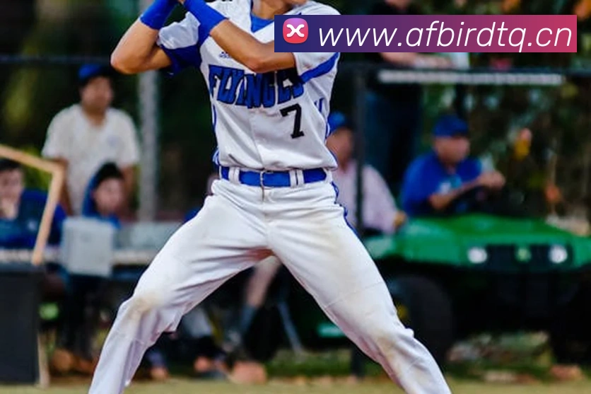 半岛在线网页版登录APP 体育赛事宣传图